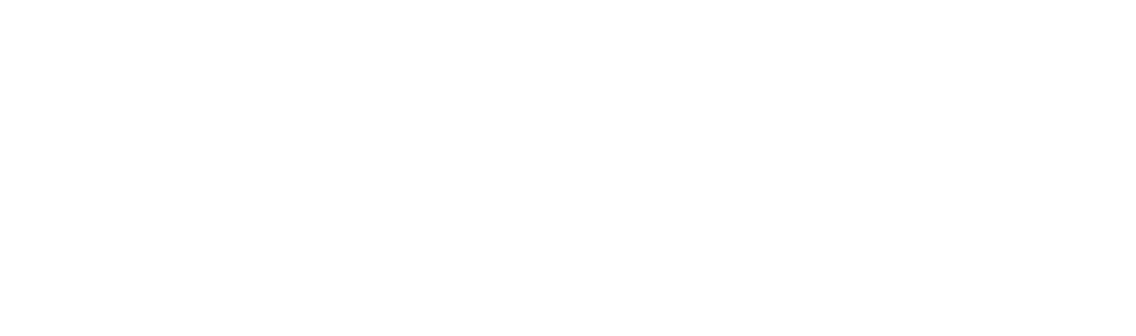 Rapoo Logo